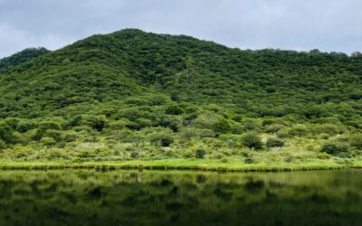 初學者也能開心完成的小山推薦｜日本關東地區